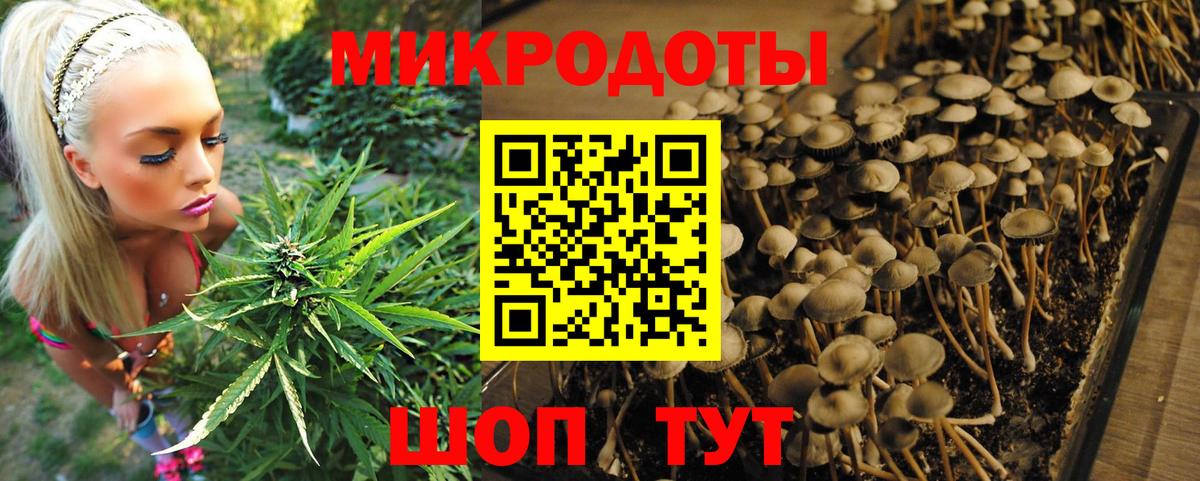Галлюциногенные грибы прущие грибы  Вход с VPN  Узловая 