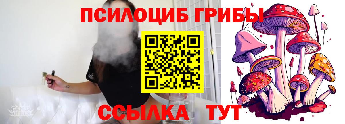 Псилоцибиновые грибы мицелий Узловая